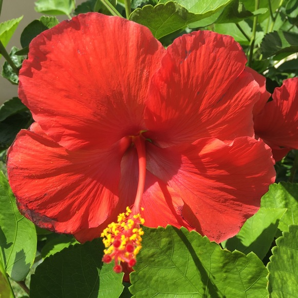 Meet your Posher, irisincorporated - Picture 12 of 16